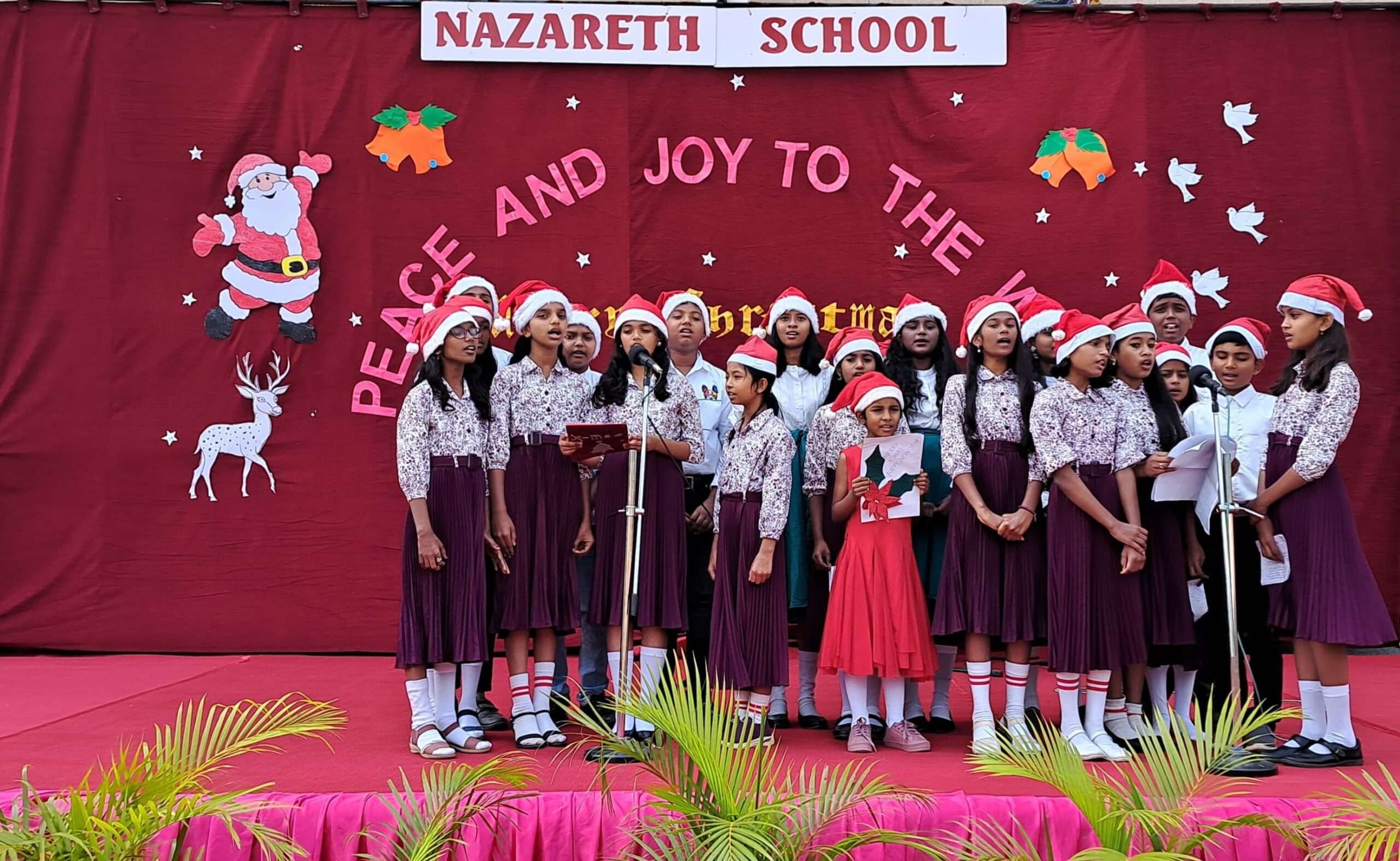 WhatsApp Image 2025-03-01 at 11.27.21 AM